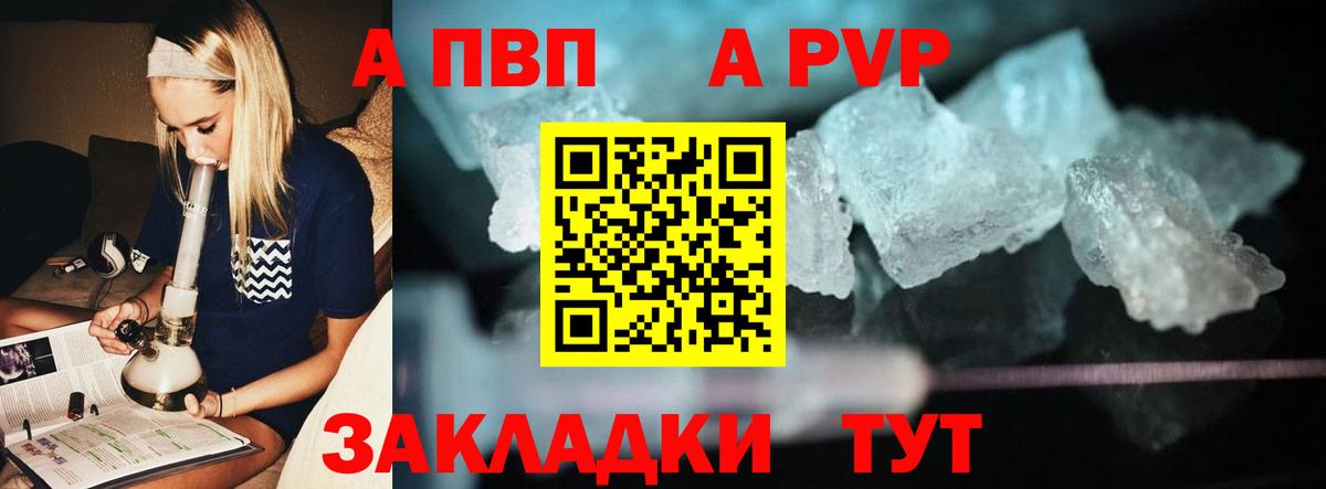 Альфа ПВП крисы CK Вышний Волочёк