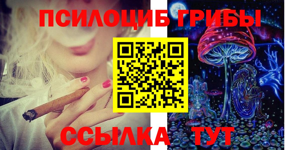 Вышний Волочёк  Псилоцибиновые грибы прущие грибы  Вход с VPN 
